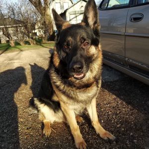 Meet your Posher, James